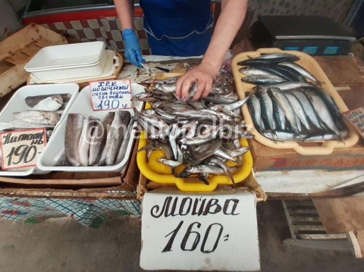 Рыбные места - в сети показали цены на рыбу в Мелитополе (фото)